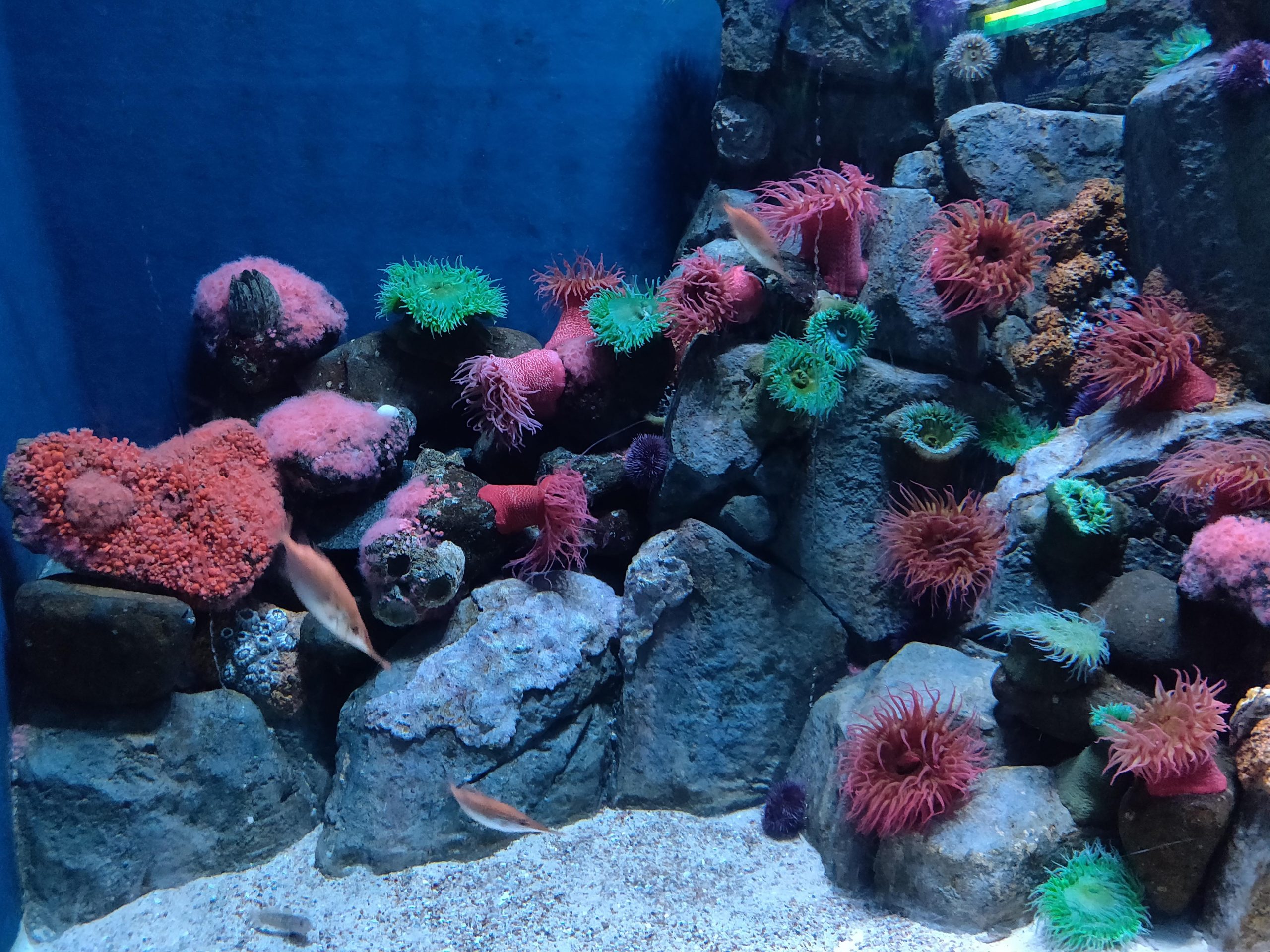 “You’re Unique, Just like Everybody Else”